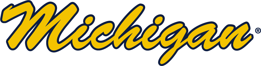 Michigan Wolverines 2016-Pres Wordmark Logo v3 diy iron on heat transfer
